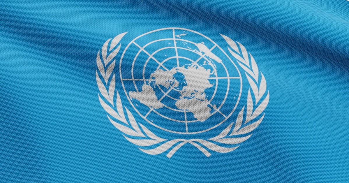 Qué es el Modelo de Naciones Unidas?