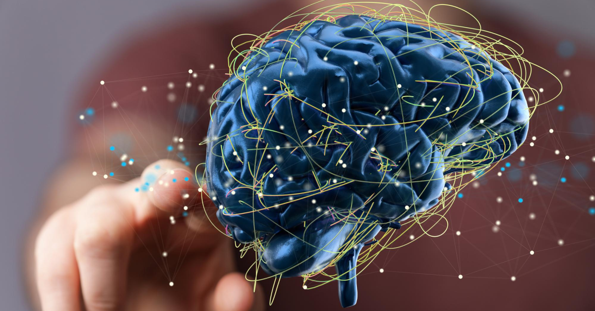 Estudiante de neuropsicología apunta a cerebro digitalizado