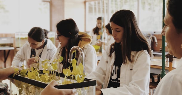 Blog-Universidades reconocen el prestigio de la Preparatoria Panamericana a través de pases directos