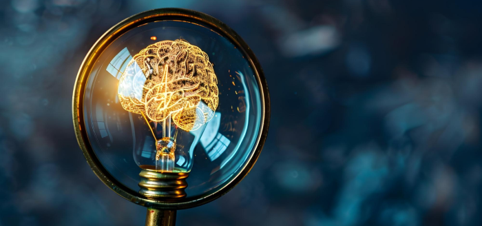 Lupa sobre cerebro humano simboliza propiedad intelectual