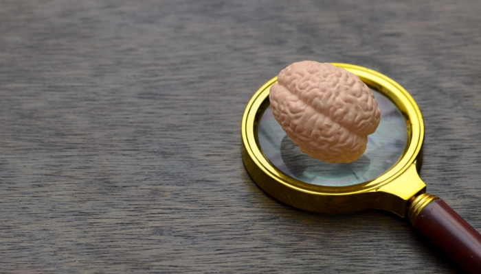 Cerebro sobre lupa en mesa