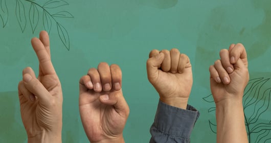 Lenguaje de señas simbolizando protección de derechos humanos