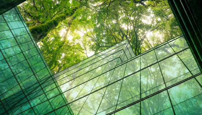 Diseño arquitectónico de edificio con vista a árbol
