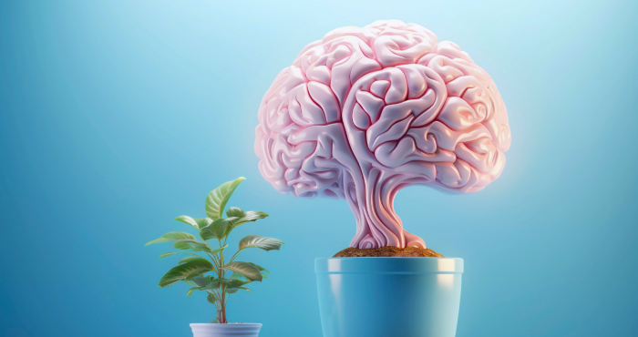 Cerebro que crece en maceta junto a planta