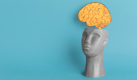 Cabeza escultórica con cerebro saliente
