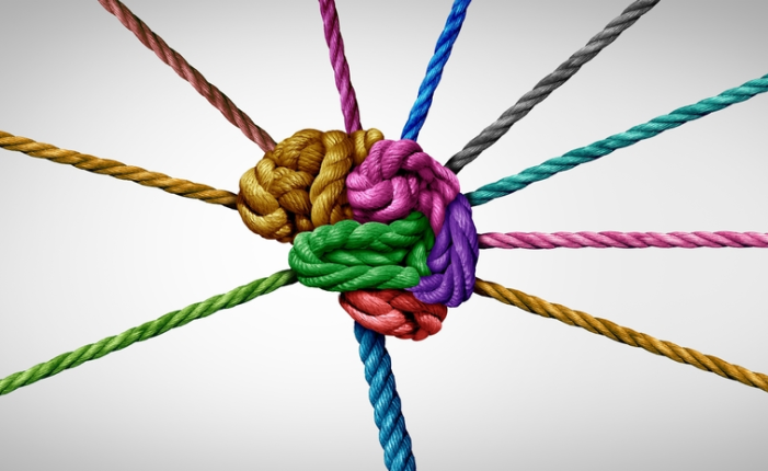 Cerebro formado con nudos de varias cuerdas